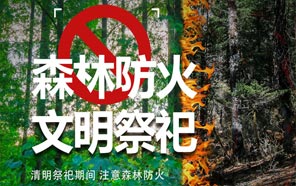 清明節：文(wén)明祭奠、預防火災