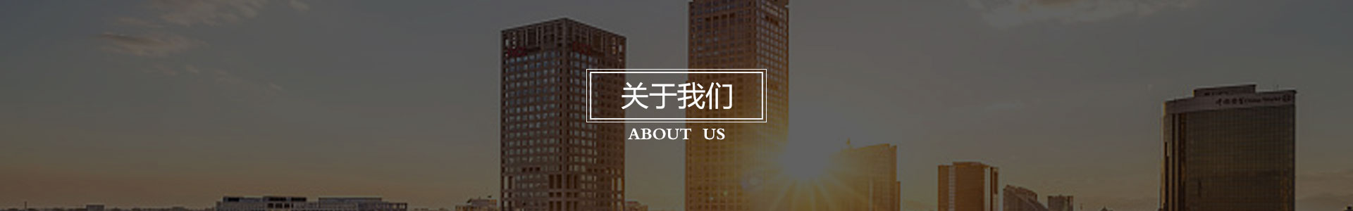 公(gōng)司簡介